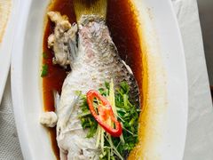 -八仔大富楼·河鲜(西江店)
