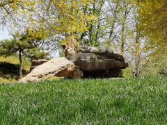 -北京野生动物园