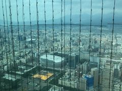 -欣叶食艺轩
