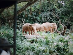 -广州长隆野生动物世界