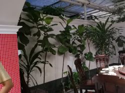 点击看大图 -特味村·宴会厅(生态园店)