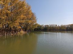 -中华三祖圣地黄帝城遗址文化旅游区