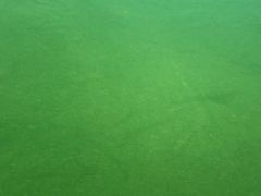 -浅深Cheersum(曹杨店)