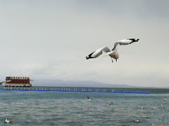 -青海湖国家重点风景名胜区售票处