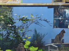 -青藏高原野生动物园