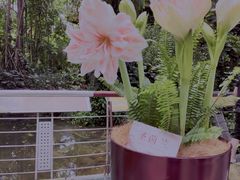 -华南国家植物园-售票处