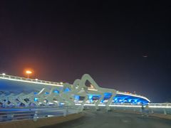 -演武大桥观景平台