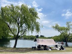 -上海共青森林公园