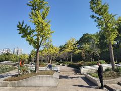 -新江湾城公园