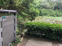 -云溪植物园