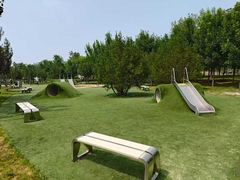 -爪吧宠物乐园 (温榆河示范区店)