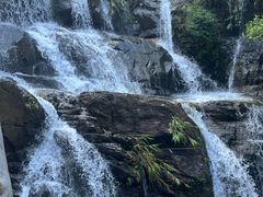 -鼎湖山风景区