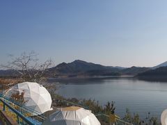 -望湖烤鱼