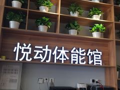 -悦动体能篮球羽毛球网球(三里河店)