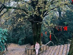 -岳麓山风景名胜区