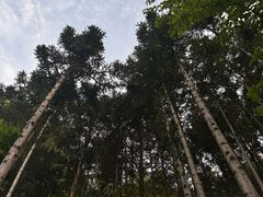 -武当山风景区