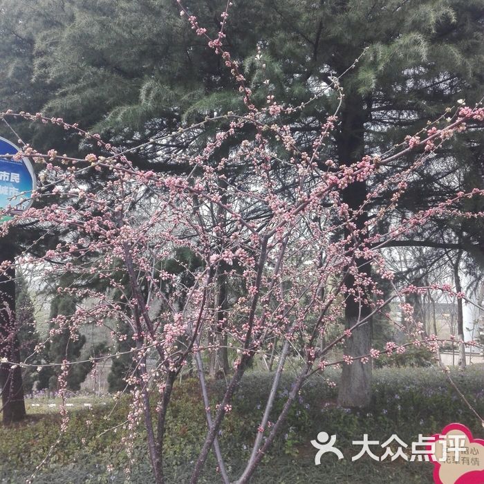 桃花坞图片-北京游乐园-大众点评网