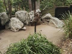 -可伦宾野生动物保护区