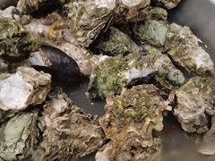 -好伦哥(温都水城店)