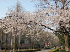 1111-南京农业大学(浦口校区)