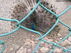 -南京金牛湖风景区