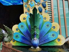 -西双版纳原始森林公园