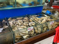 三文鱼-张树军海鲜(王府壹号店)