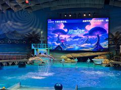 -海合安武汉极地海洋公园