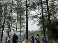 -重庆彩云湖湿地公园
