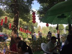 -宾湖农庄·农场特色(太湖龙之梦店)
