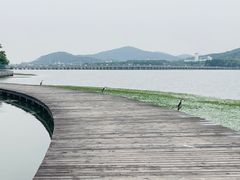 -水上明月·湖景餐厅
