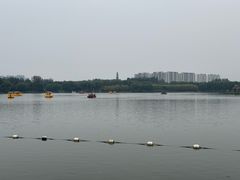 -大兴滨河森林公园