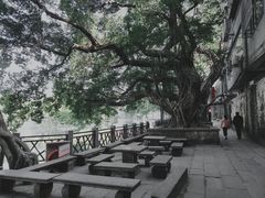 -小洲村