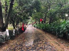 -桂林灵渠景区