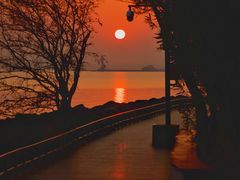 -上海吴淞炮台湾国家湿地公园