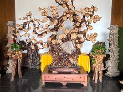 -上海海湾国家森林公园