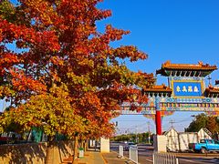 -北京西山国家森林公园