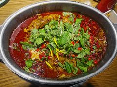泉水豆花渎鱼-黔渔翁豆花渎鱼(喷水池店)