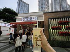 -蜜雪冰城(观音桥步行街店)