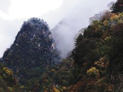 -青峰峡国家森林公园