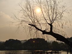 -楼外楼(西湖景区孤山路店)