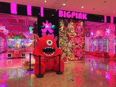 -BIG PINK大粉娃娃机主题馆(圆融星座店)