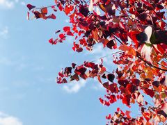 -塔川景区