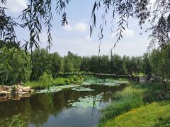 -莫子山公园