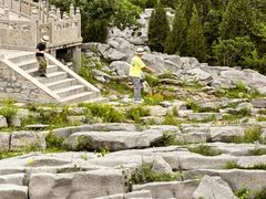 -原山国家森林公园