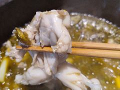 -石锅苗苗鱼(武汉首店)