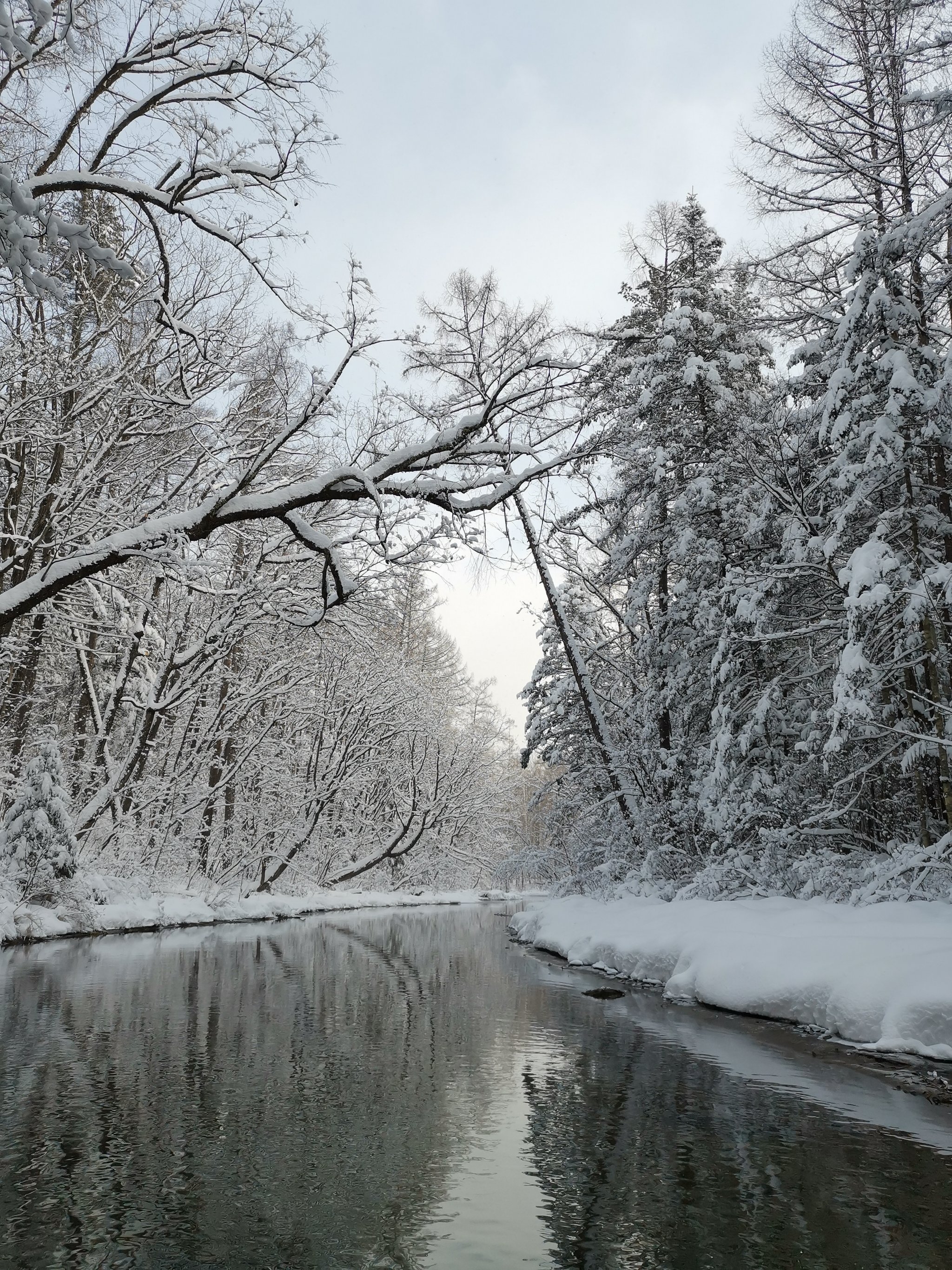 冰雪风景美图图片