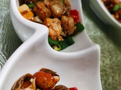 大拌红岛海螺-开海·红岛海鲜虾水饺(石老人店)