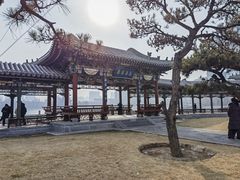 -迎泽公园