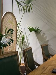 -芳香乐府疗愈空间·SPA·冥想